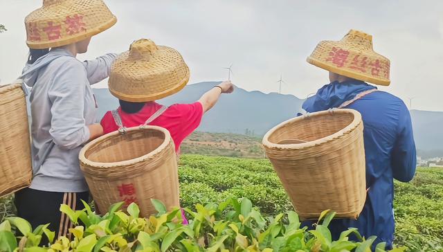 北海最高峰大廉山旅游攻略