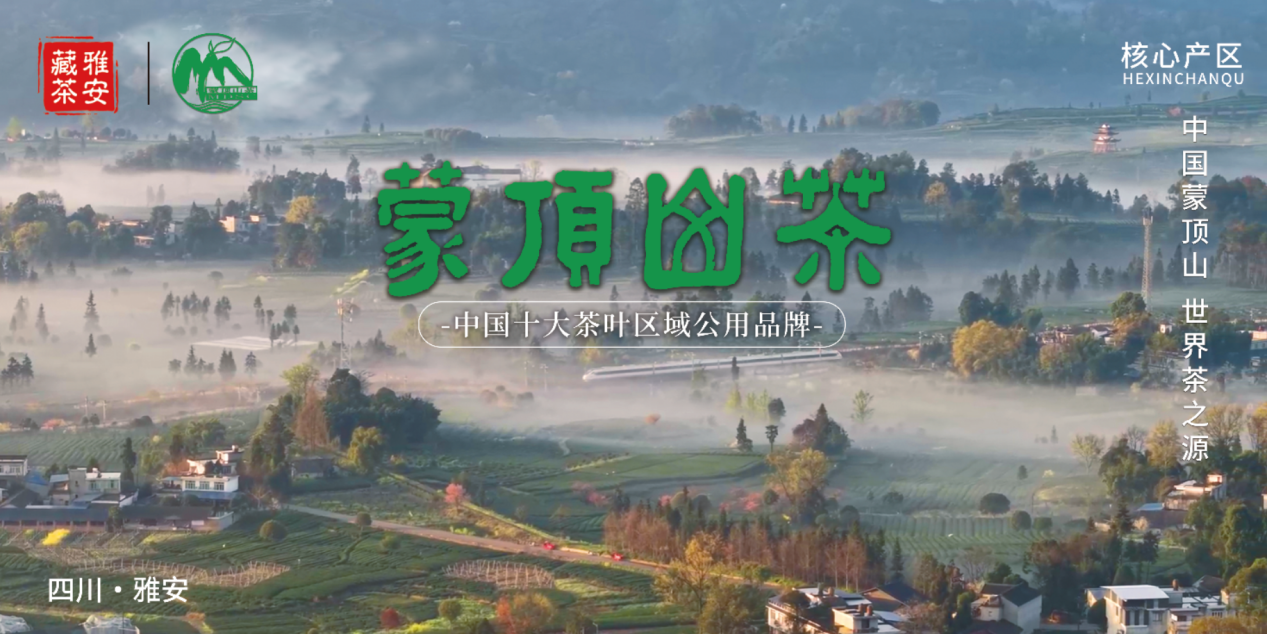 雅安茶香正浓！第十五届四川茶博会，以茶为媒，赴